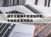 亚博体育-威尔士客场不敌保加利亚，小组前景有所黯淡