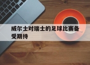 亚博体育-威尔士对瑞士的足球比赛备受期待